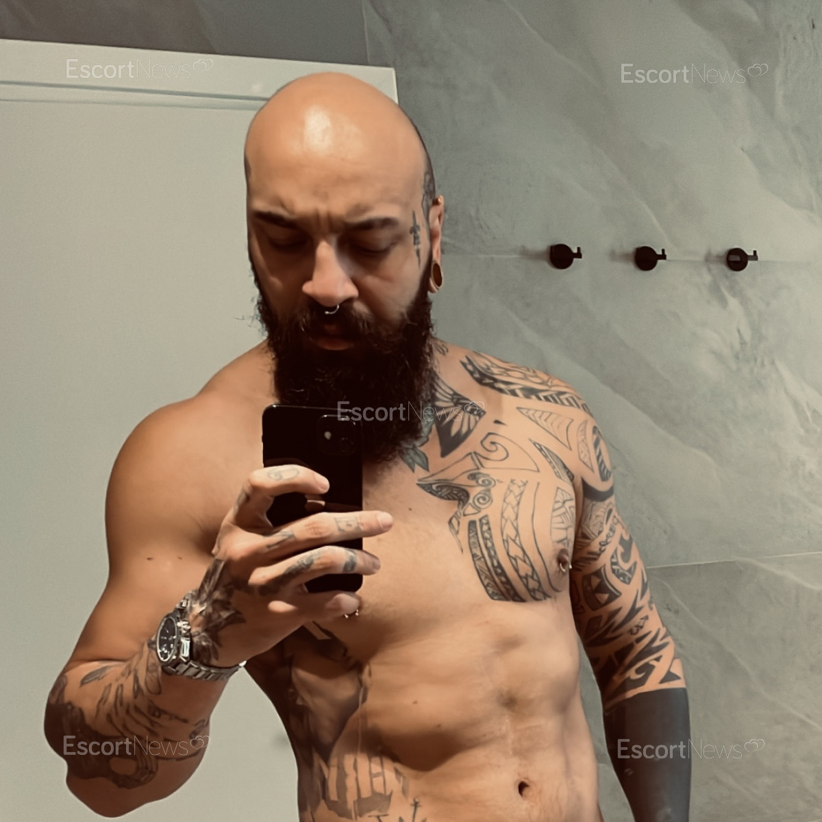 Tatoreisviking