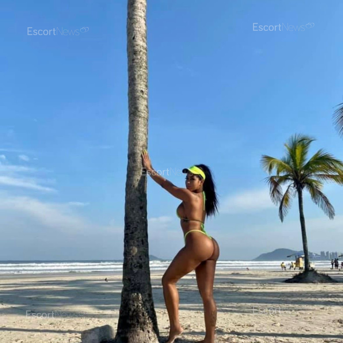 Anitta Ferraz 