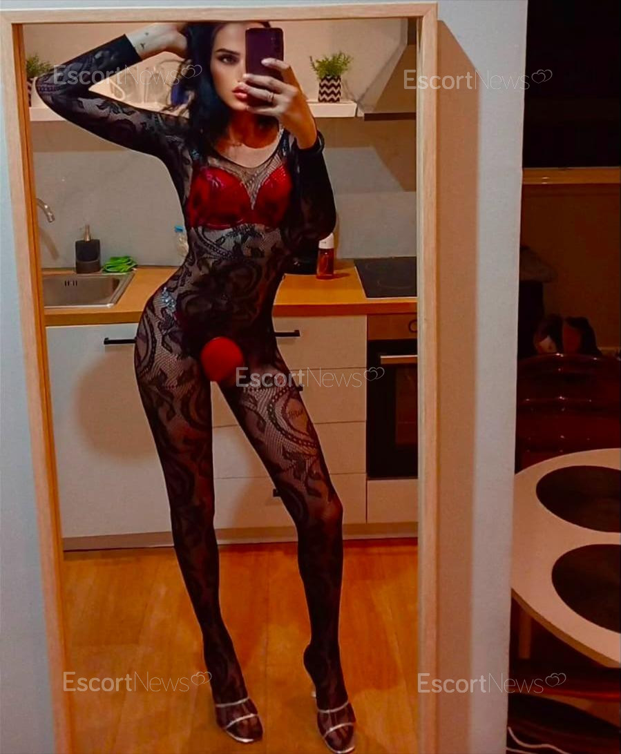 NUMBER ONE TRANS 