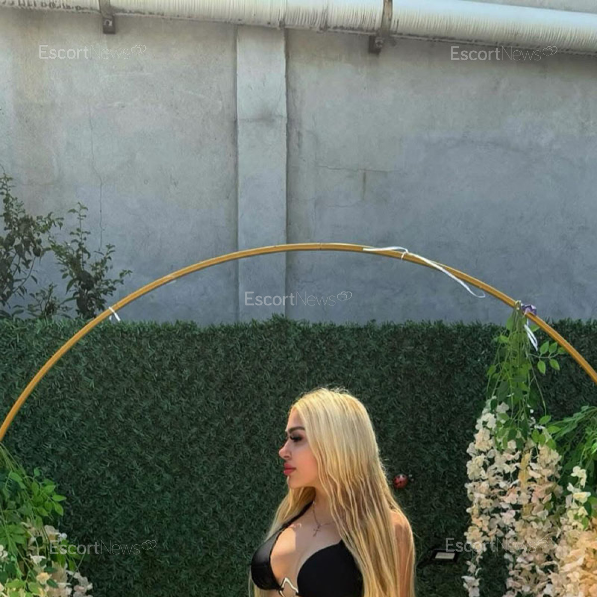Anita