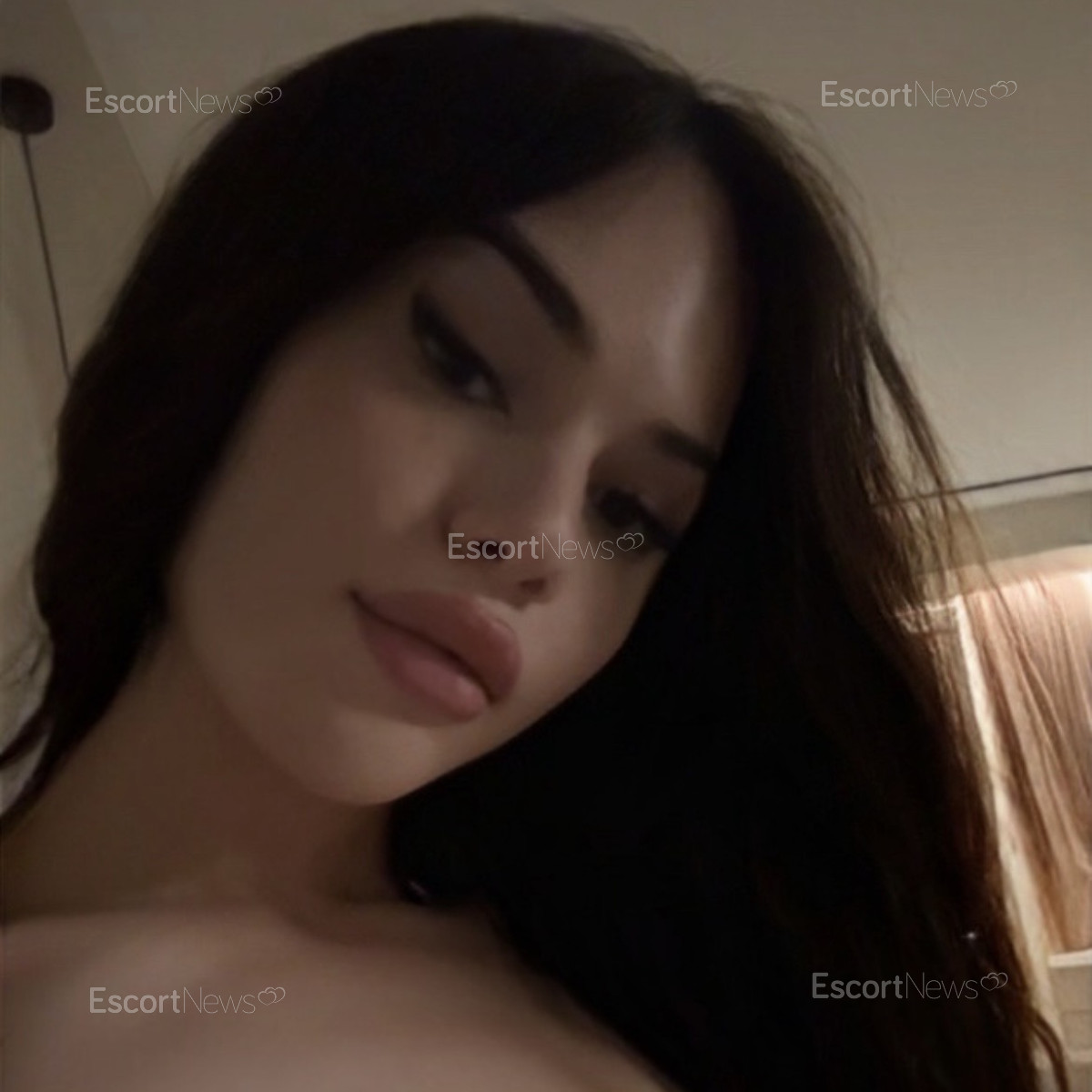 Bella 