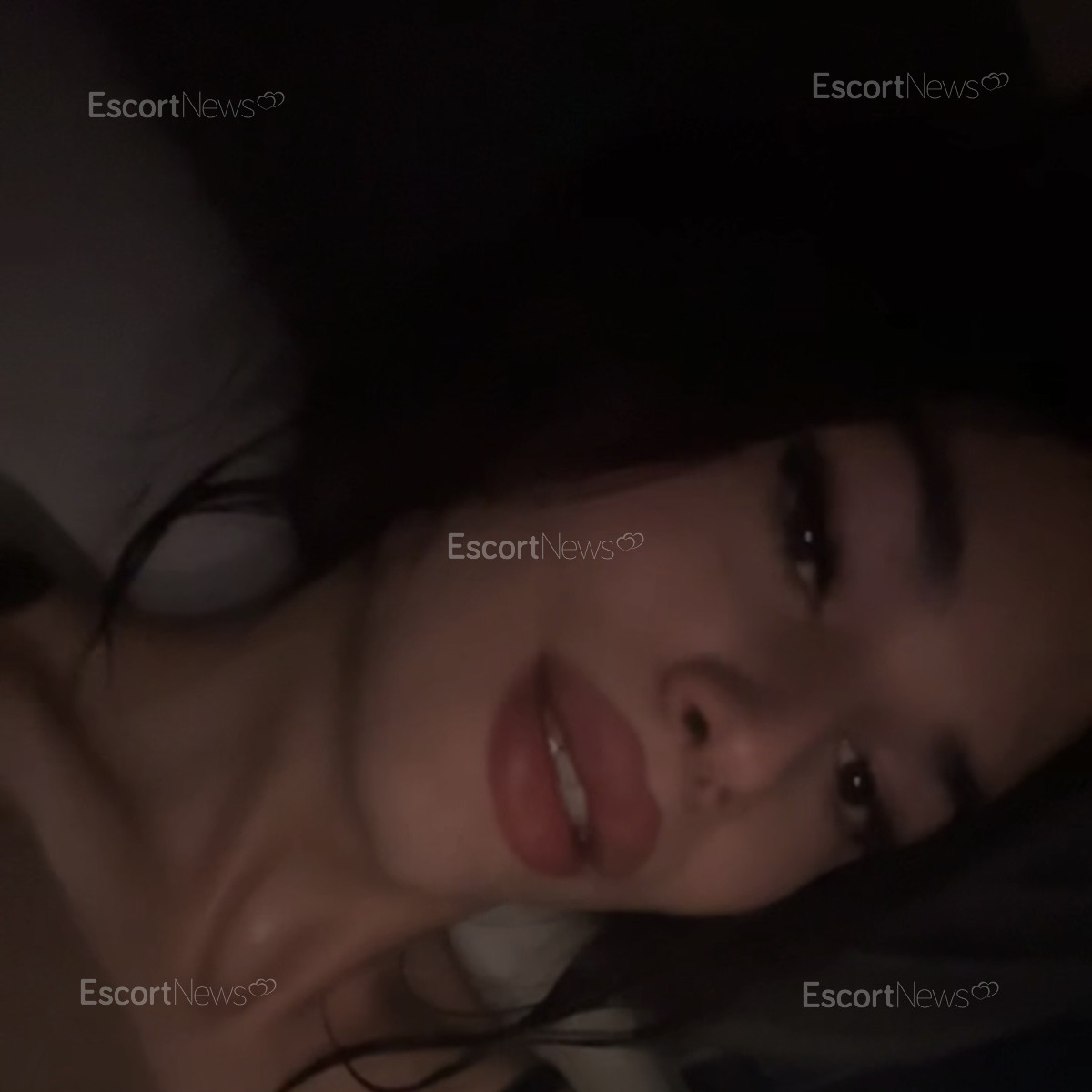 Bella 