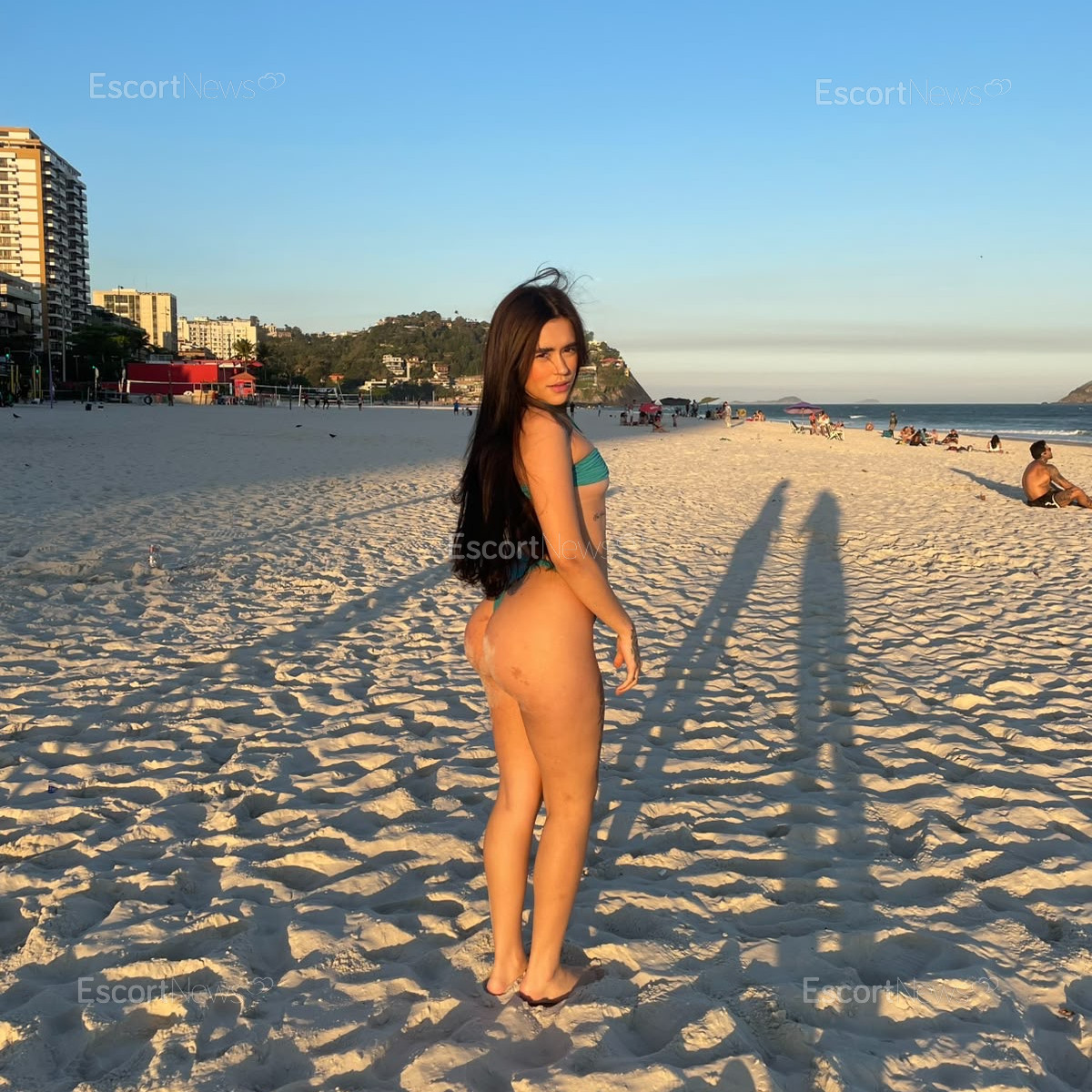 Carol Alenkar 