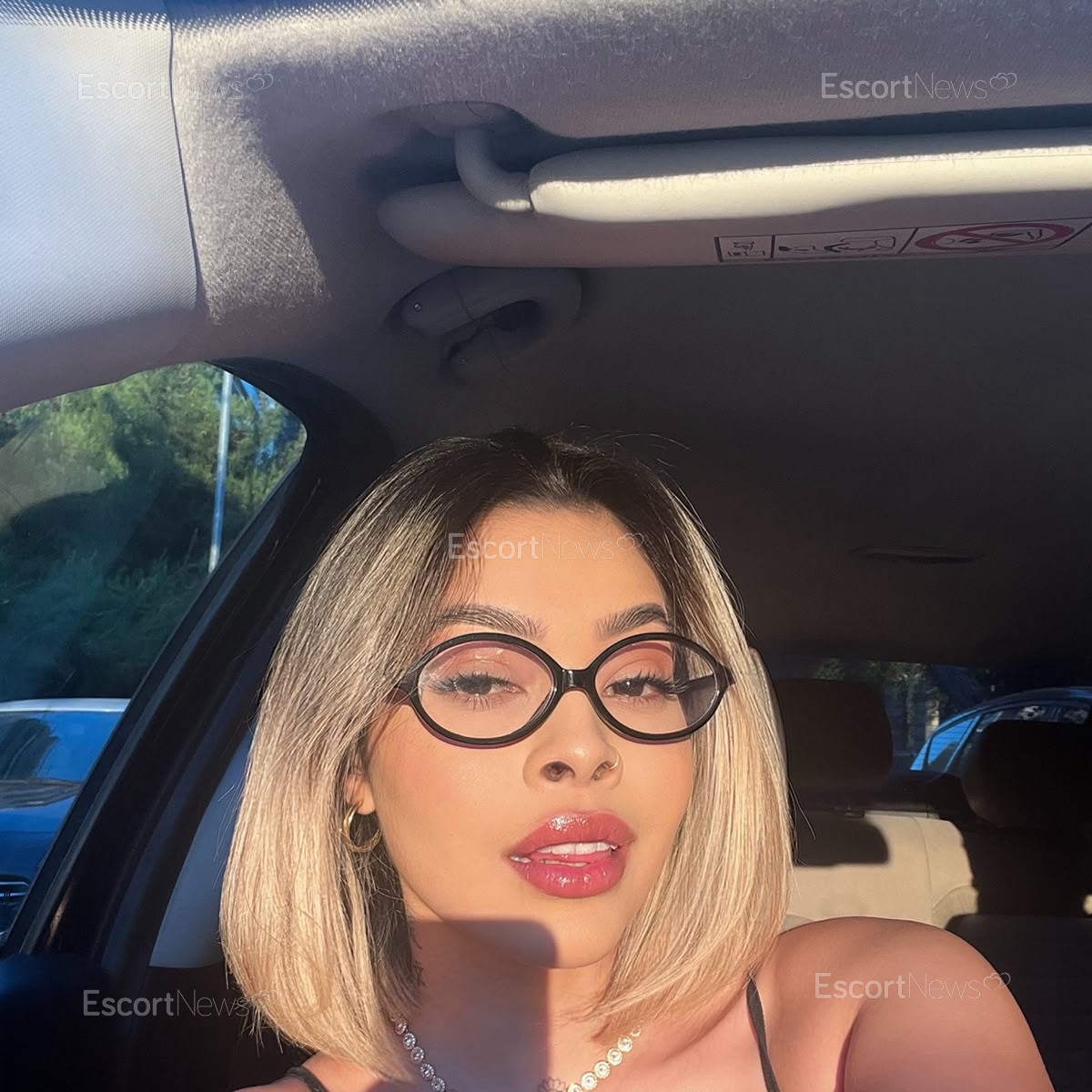 Sophia 