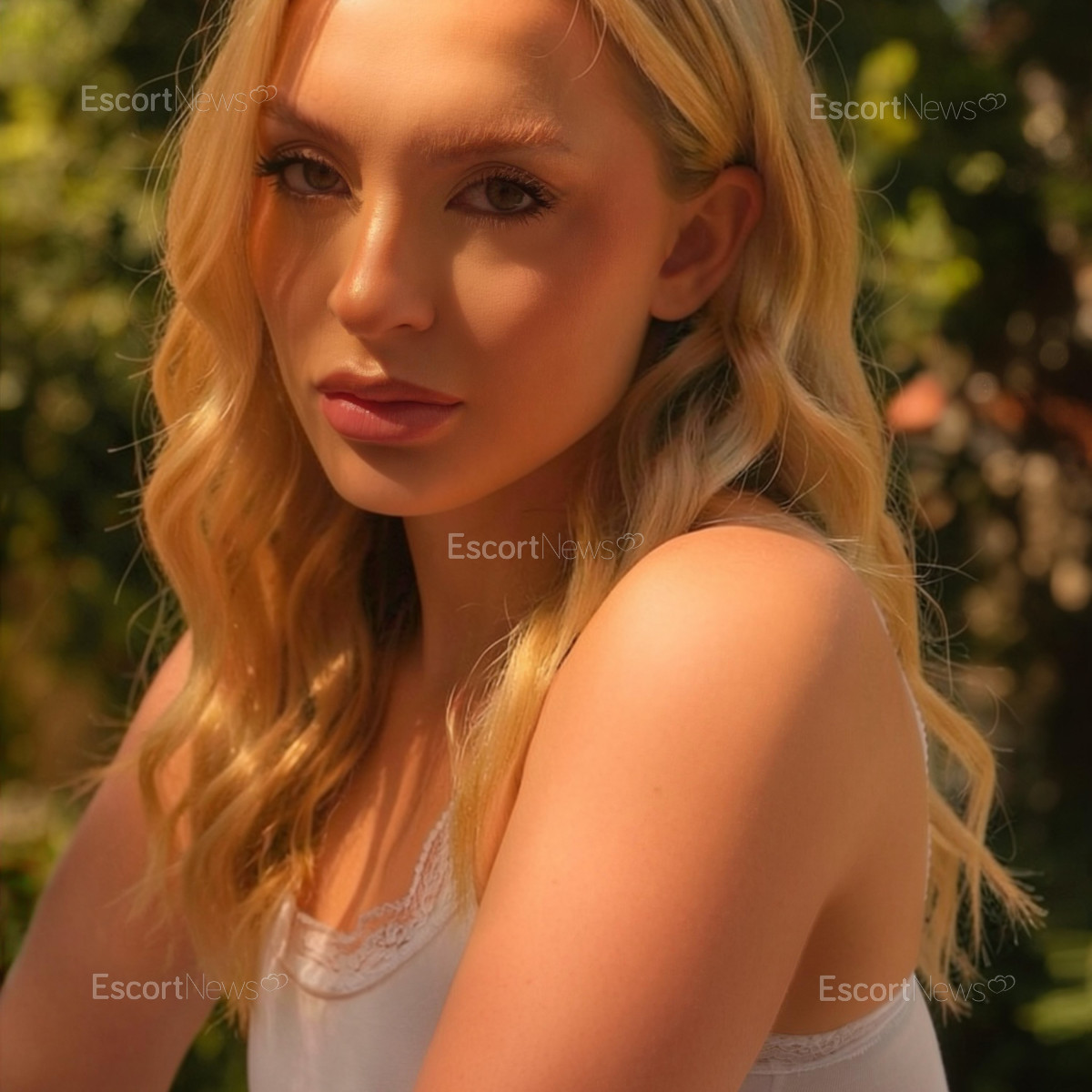 Stella