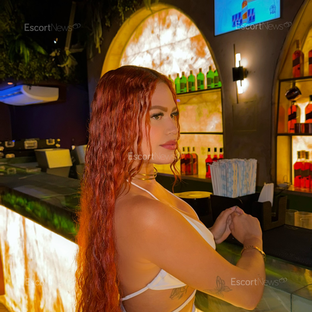 Ariel