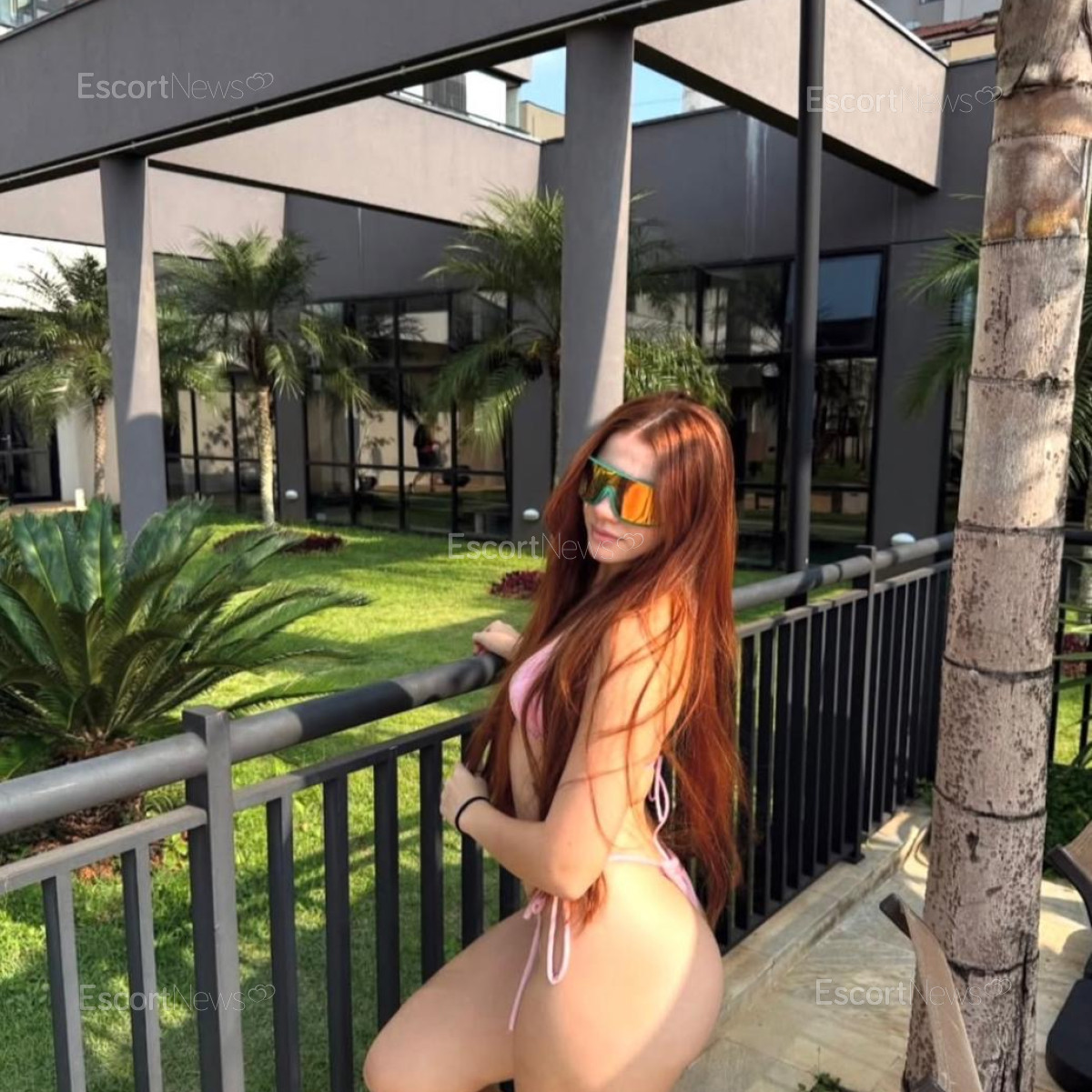 Bella 