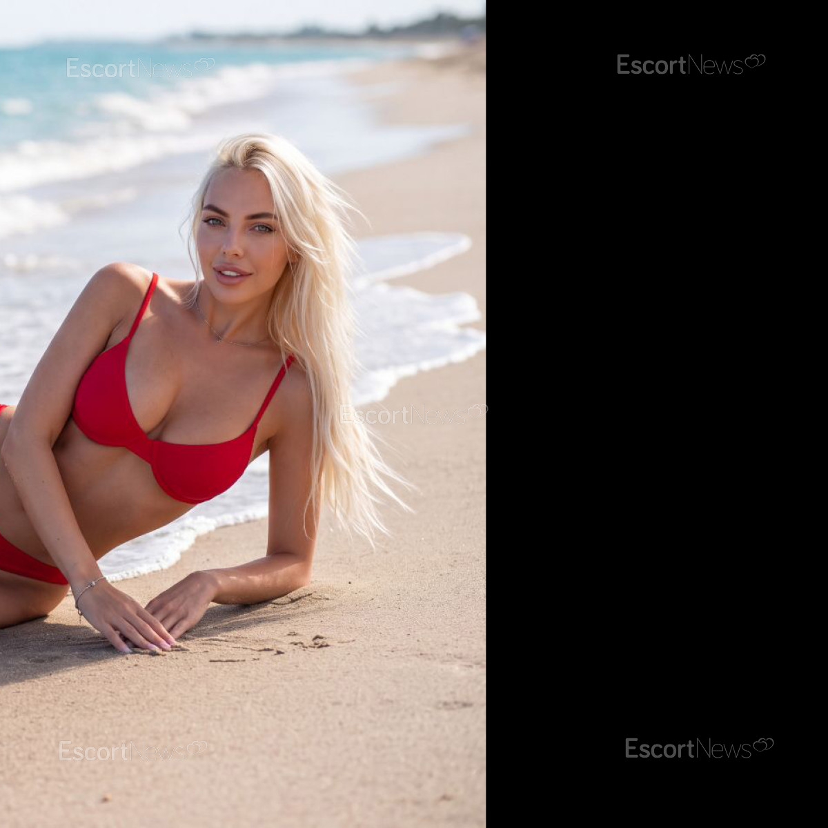 Alexa_VIP