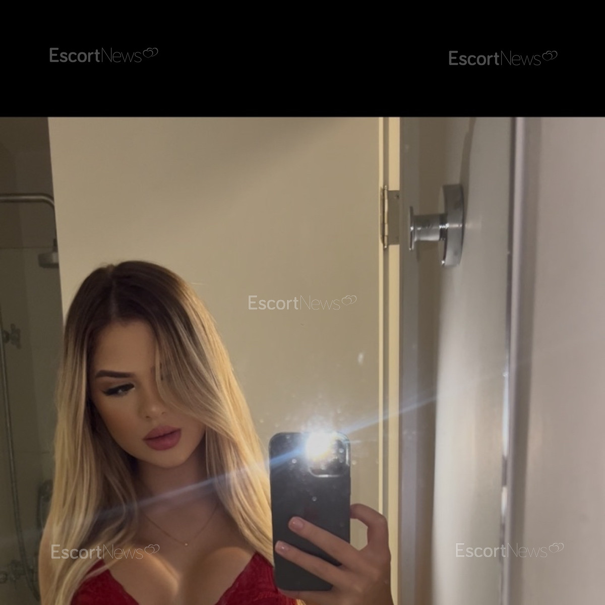 Bella rose