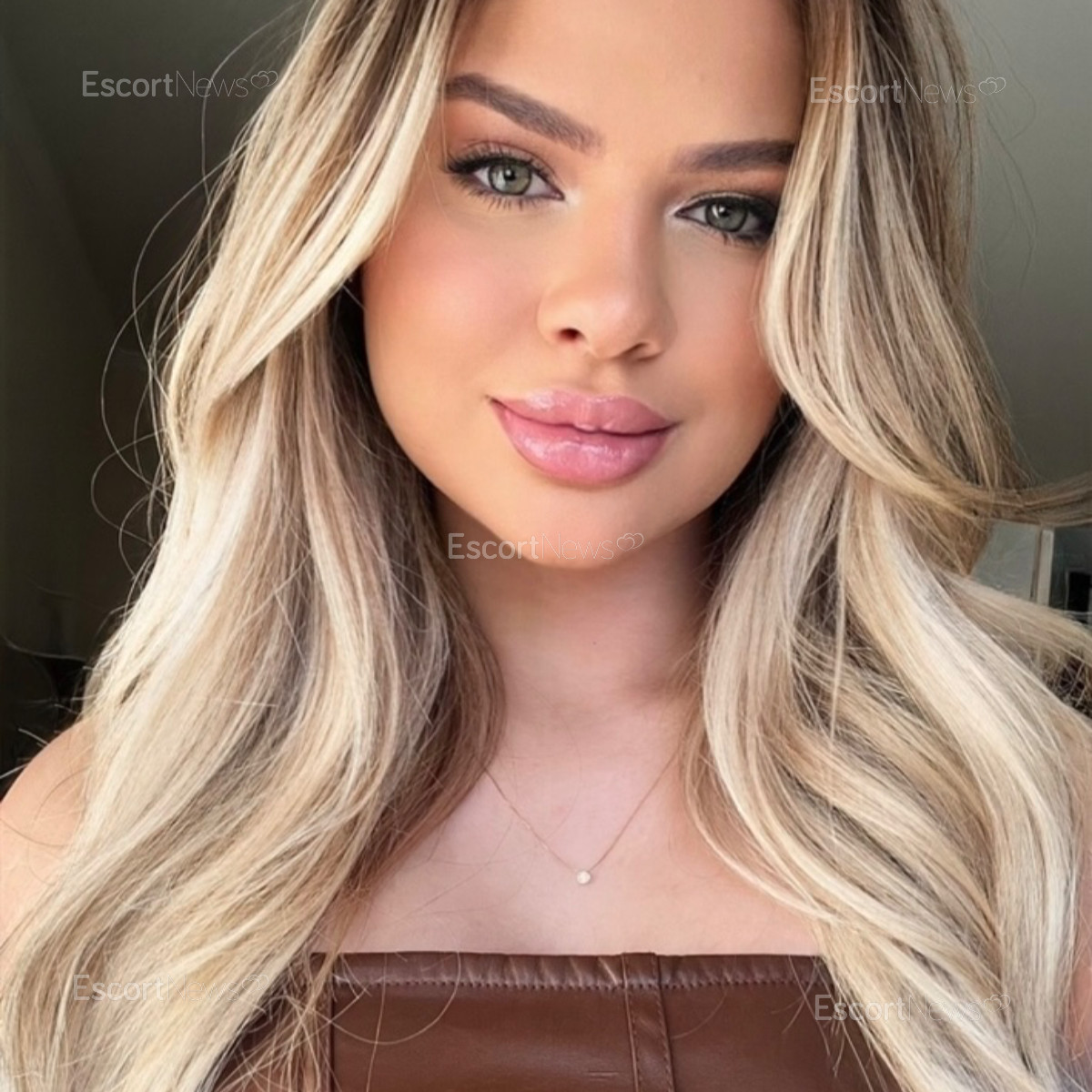 Bella rose